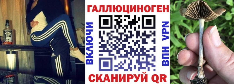 Галлюциногенные грибы мицелий  Купить  Кыштым 
